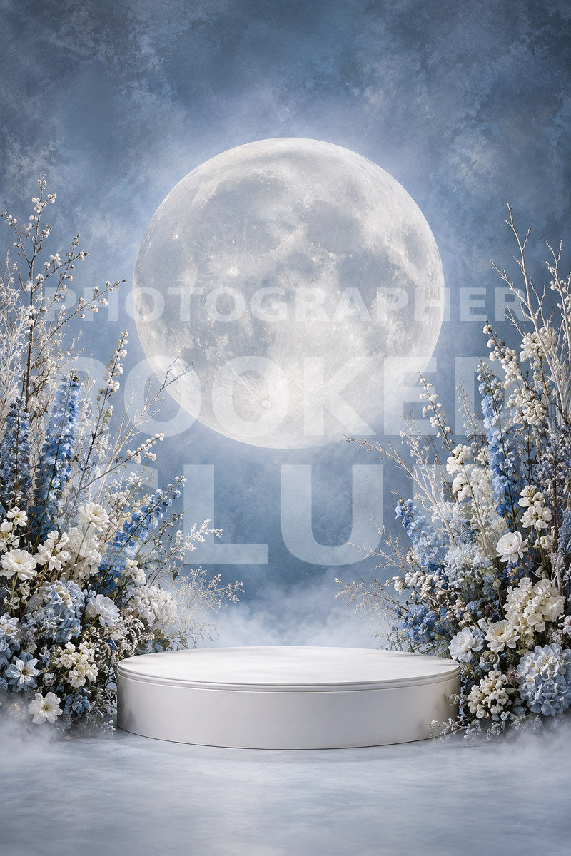 Maternity Moon II: Celestial Elegance (15 Digital Backdrops)