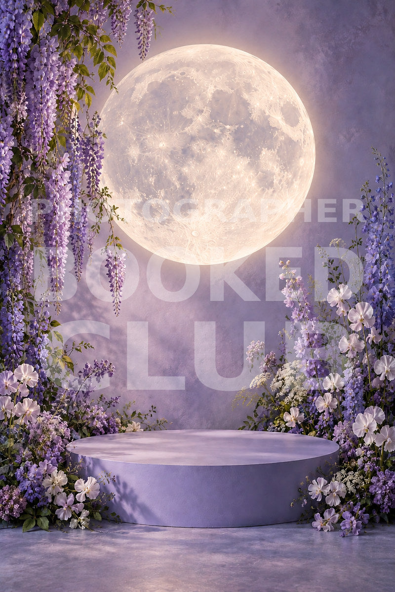 Maternity Moon II: Celestial Elegance (15 Digital Backdrops)