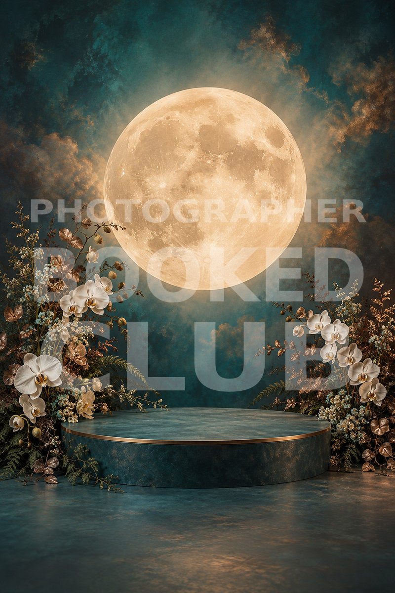 Maternity Moon II: Celestial Elegance (15 Digital Backdrops)